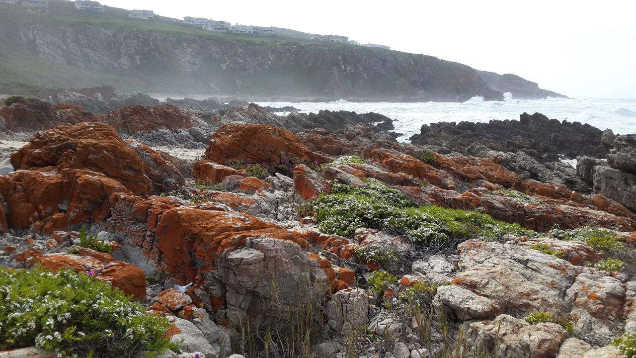 Pinnacle Point - Golf Safari Sa Mossel Bay Extérieur photo